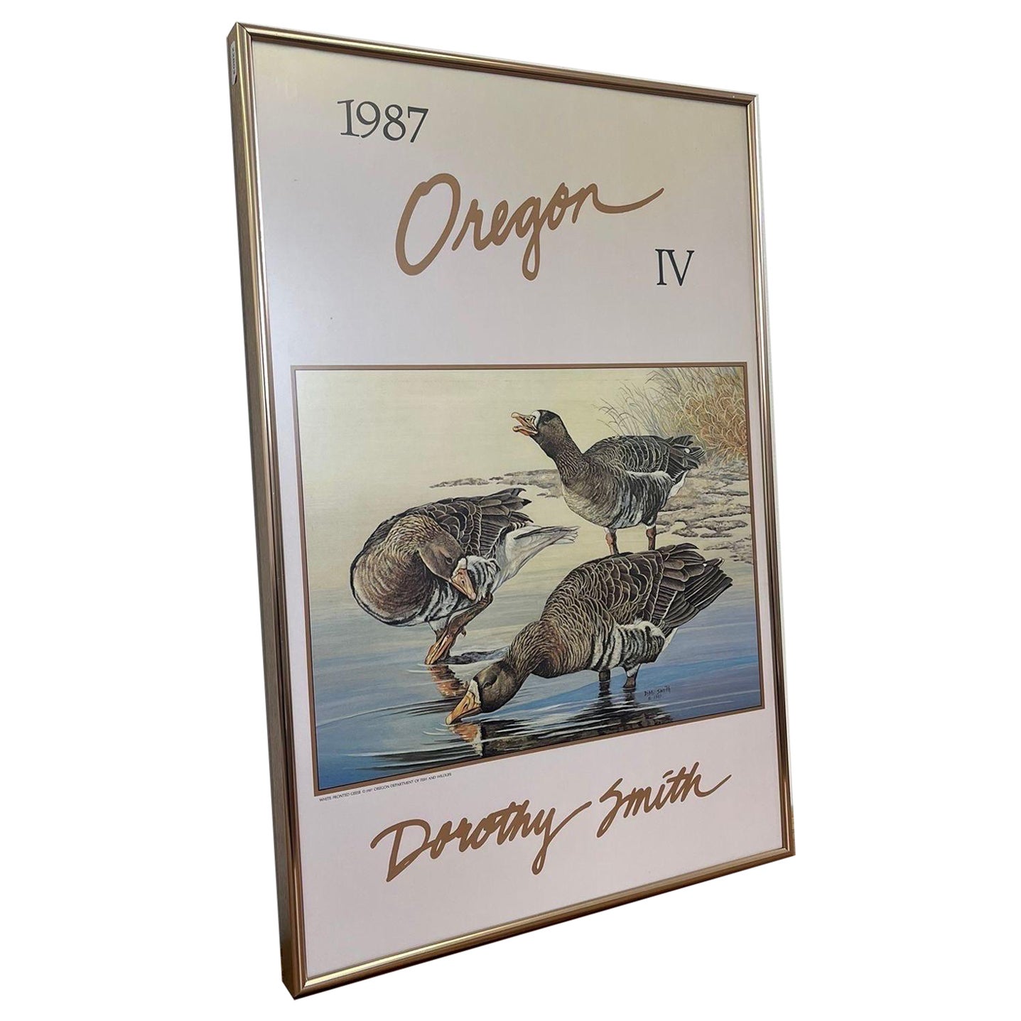 Vintage Oregon Waterfowl Print by Dorathy Smith. For Sale