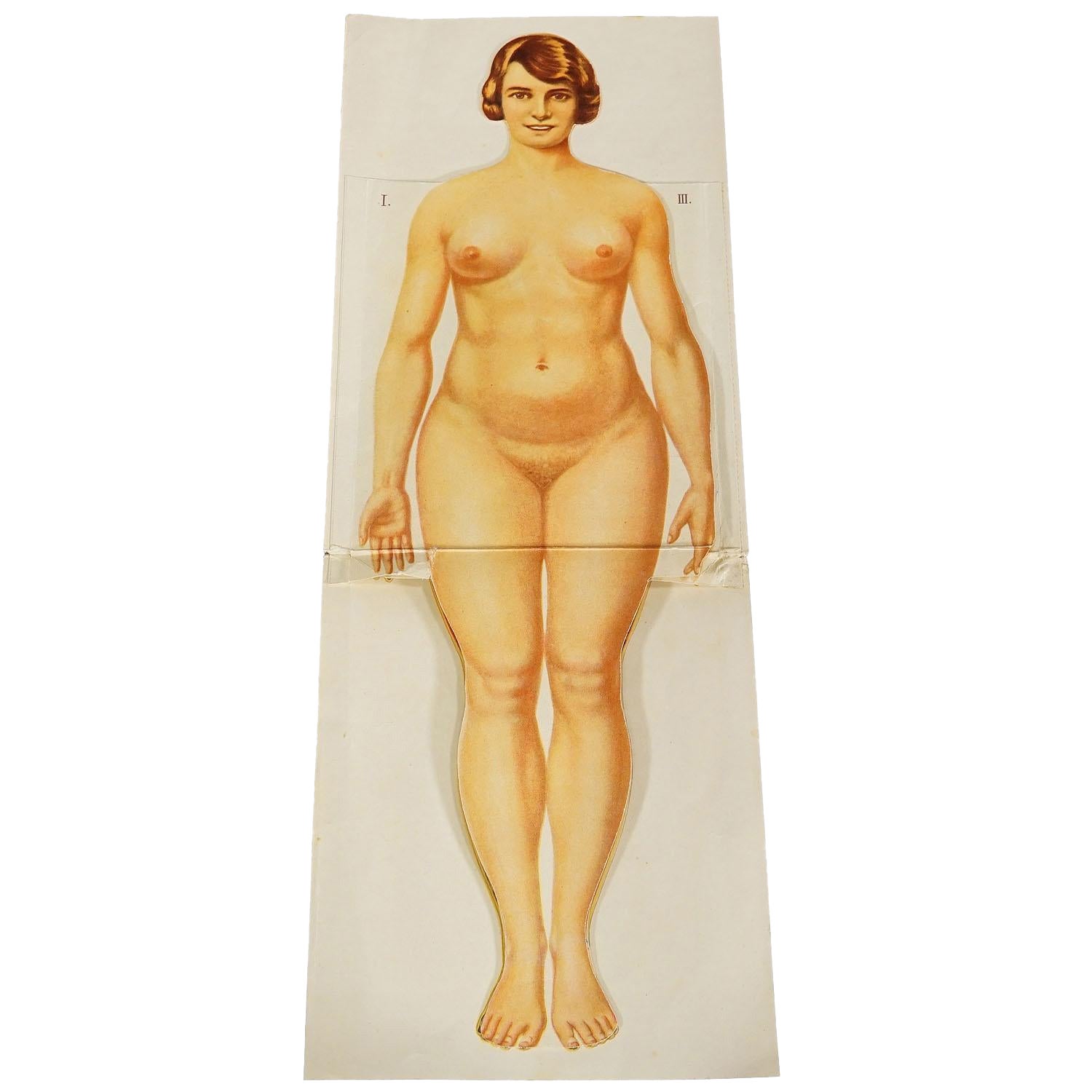 Antique Foldable Anatomical Brochure Depicting Female Anatomy