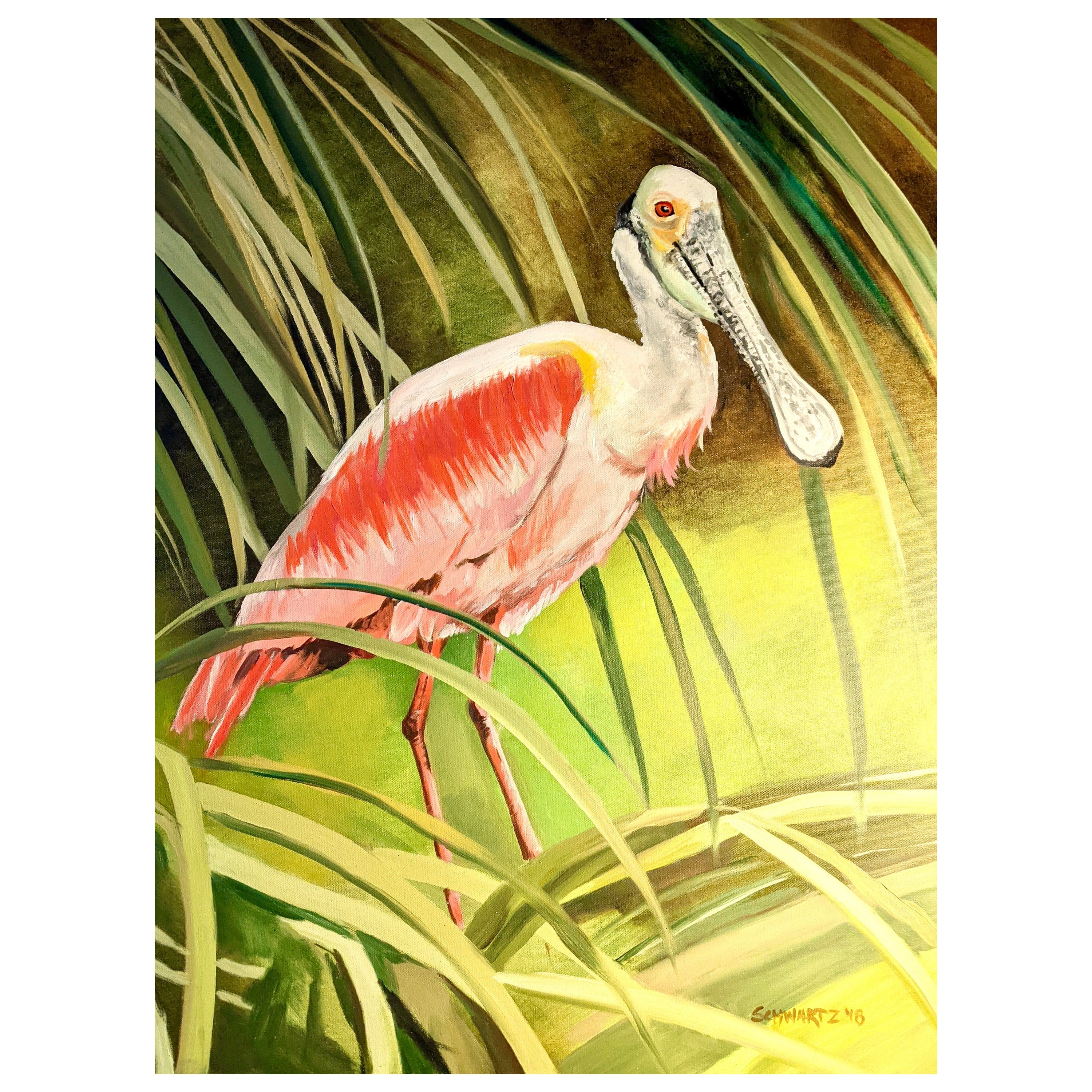 Framed Oil on Canvas "Spoonbill" by Susan Schwartz For Sale