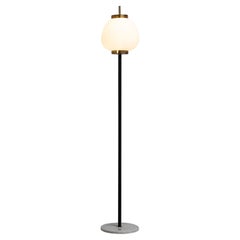 Stilnovo Bruno Gatta standard floor lamp Italy 1951