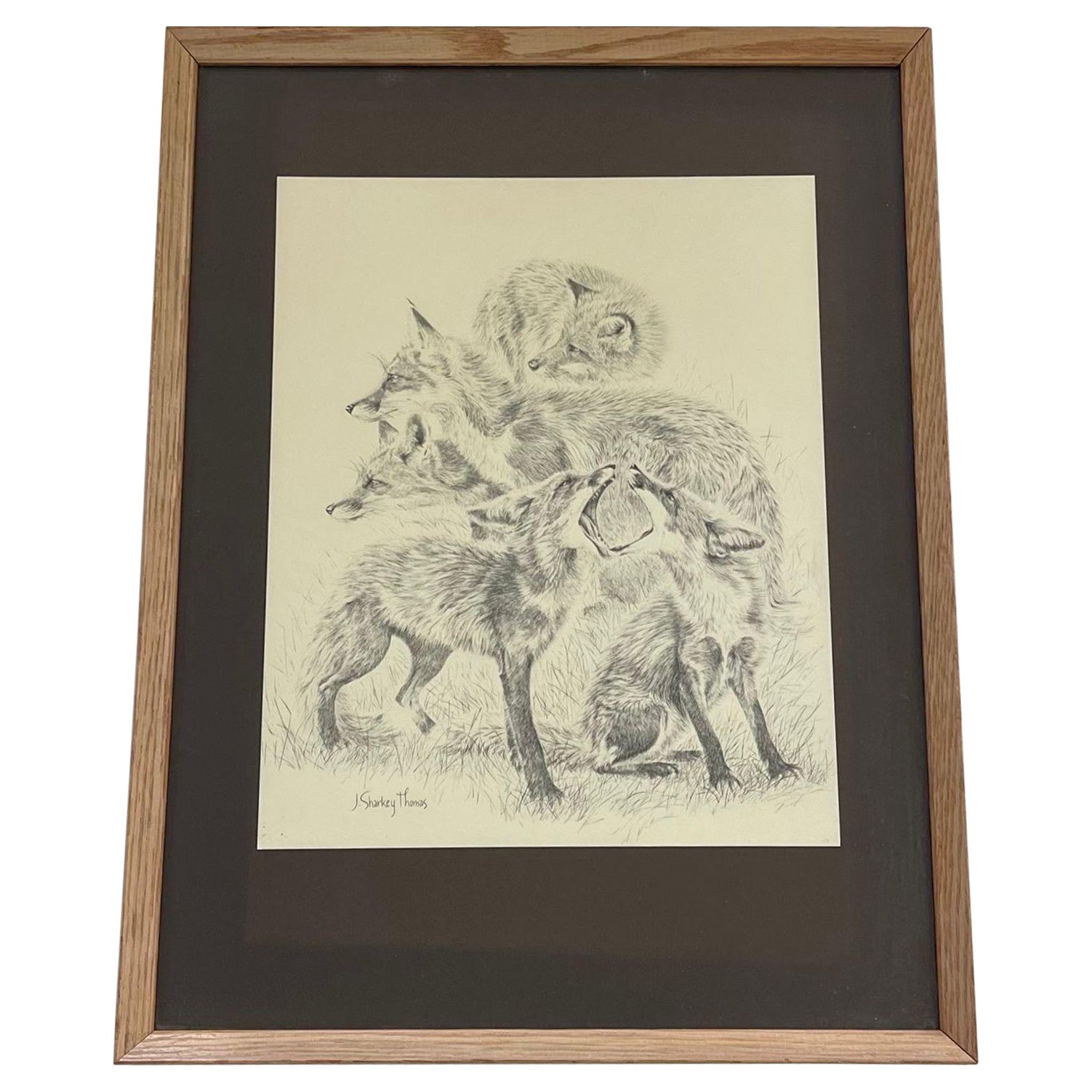 Vintage Framed and Signed Artwork of Foxes. For Sale