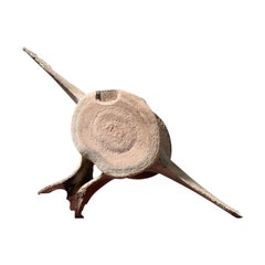 Ein Wirbel aus Walfischknochen aus dem neunzehnten Jahrhundert