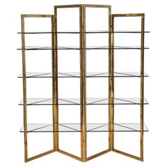 Vintage Sandro Petti Made in Italy Brass and Glass Bookcase/Vitrines, 1970