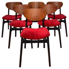 Beautiful Mid Century Modern 'Butterfly' Dining Chairs - Set of Six