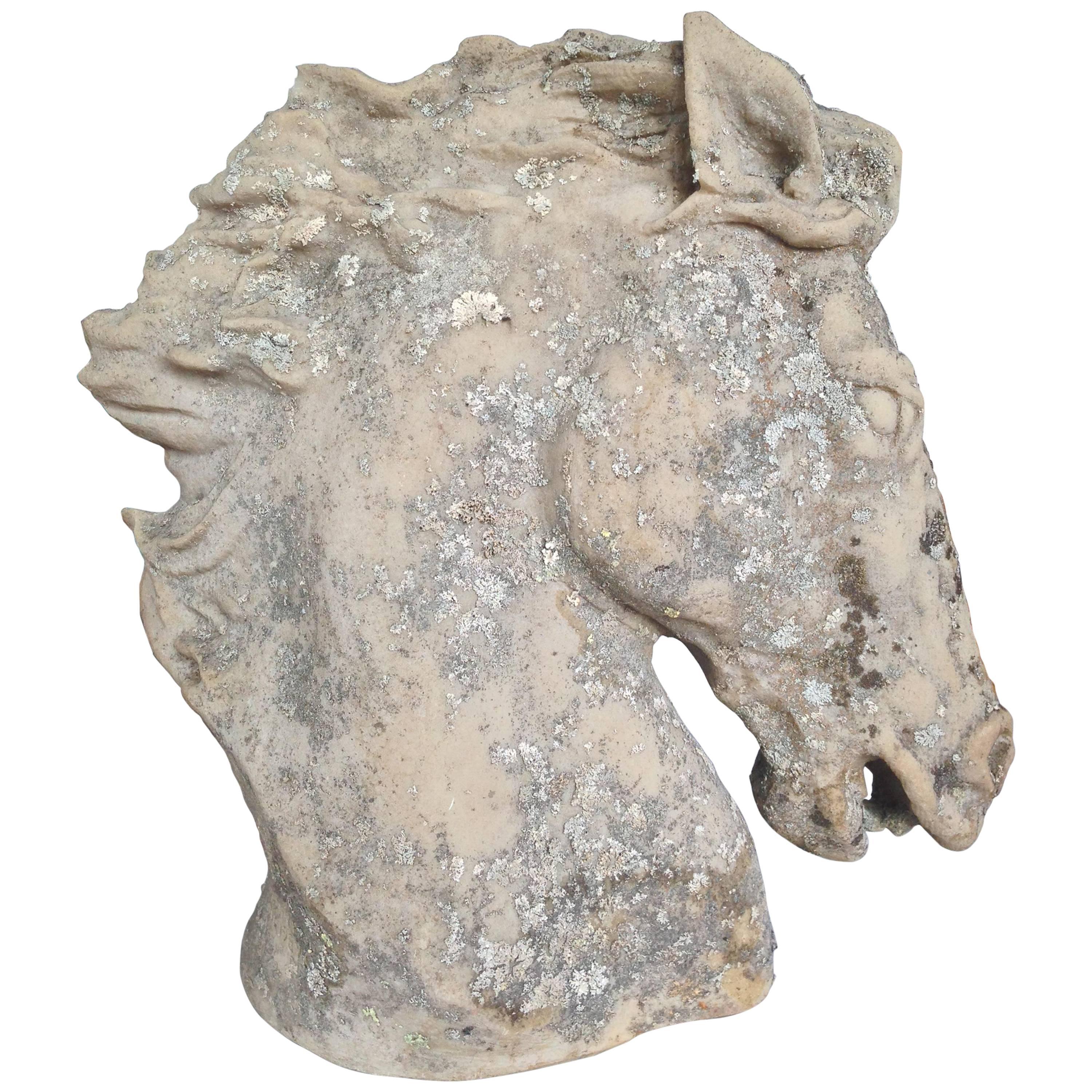 20th Century Bust of a Horse