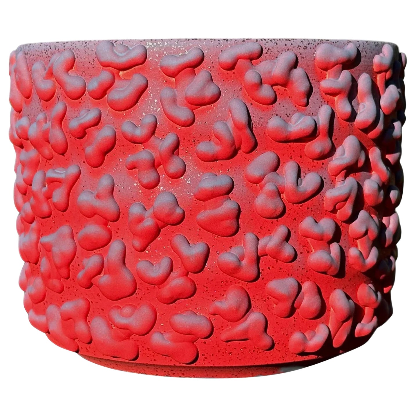 Organic Crimson And Cobalt Sparkle Planter