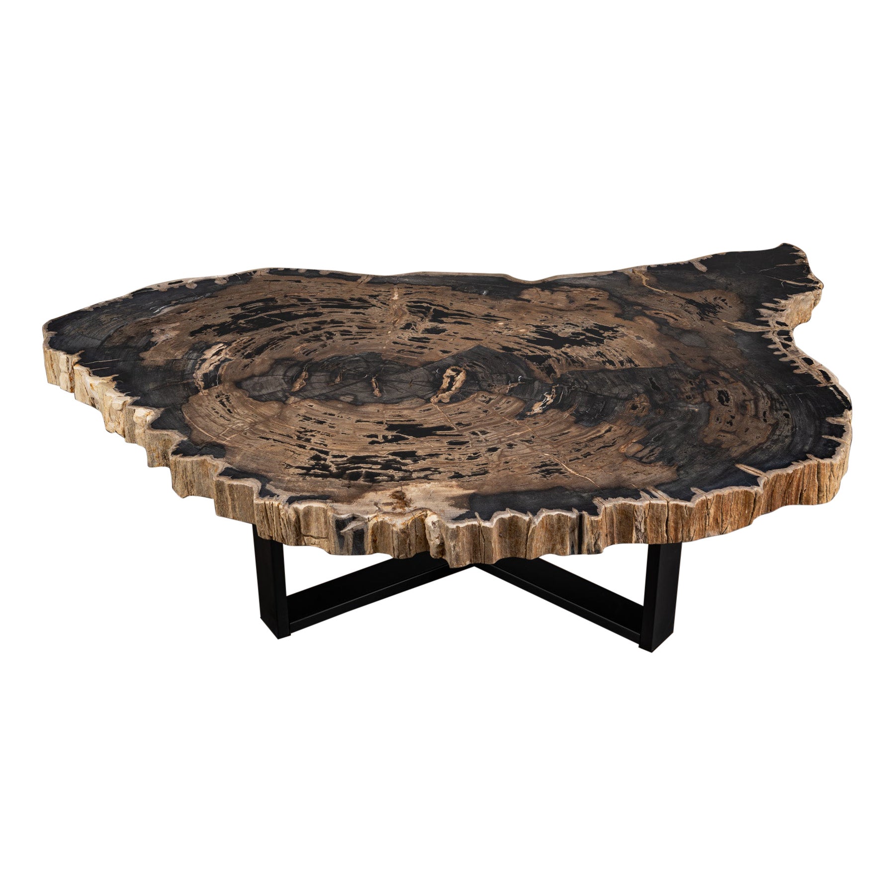 Tavolino da centro o da caffè, forma naturale, legno pietrificato con base in metallo