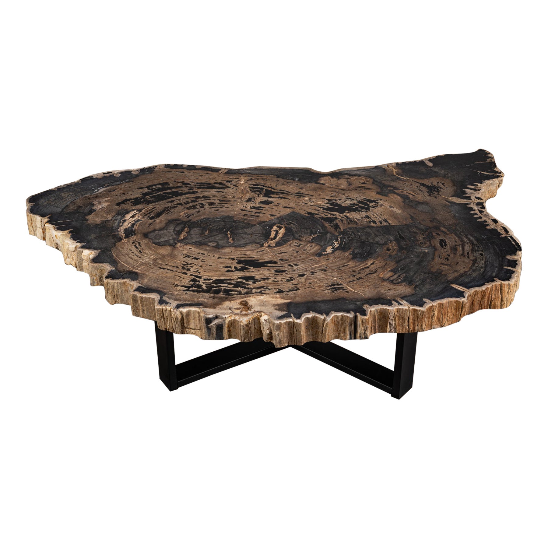 Center or Coffee Table, Natural Shape, Petrified Wood with Metal Base For Sale