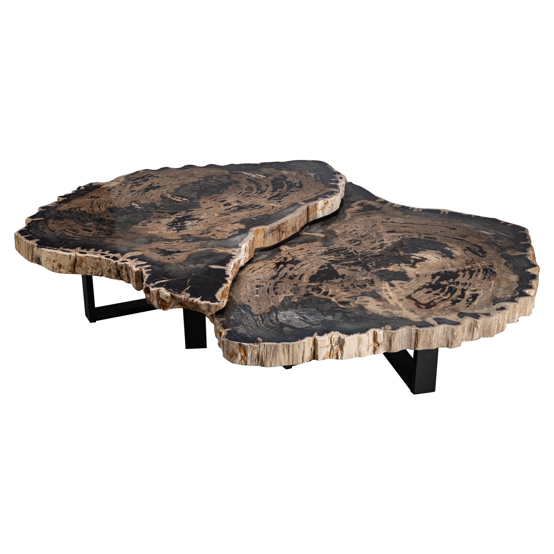Pair of Petrified Wood Center or Coffee Table with Black Metal Base For Sale