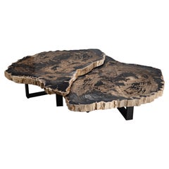 Pareja de centros o mesas de centro de madera petrificada con base de metal negro