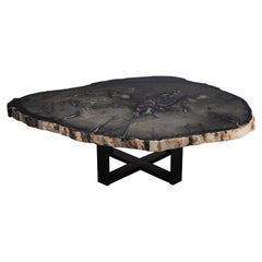 Table centrale ou table basse, de forme naturelle, bois pétrifié avec base en métal