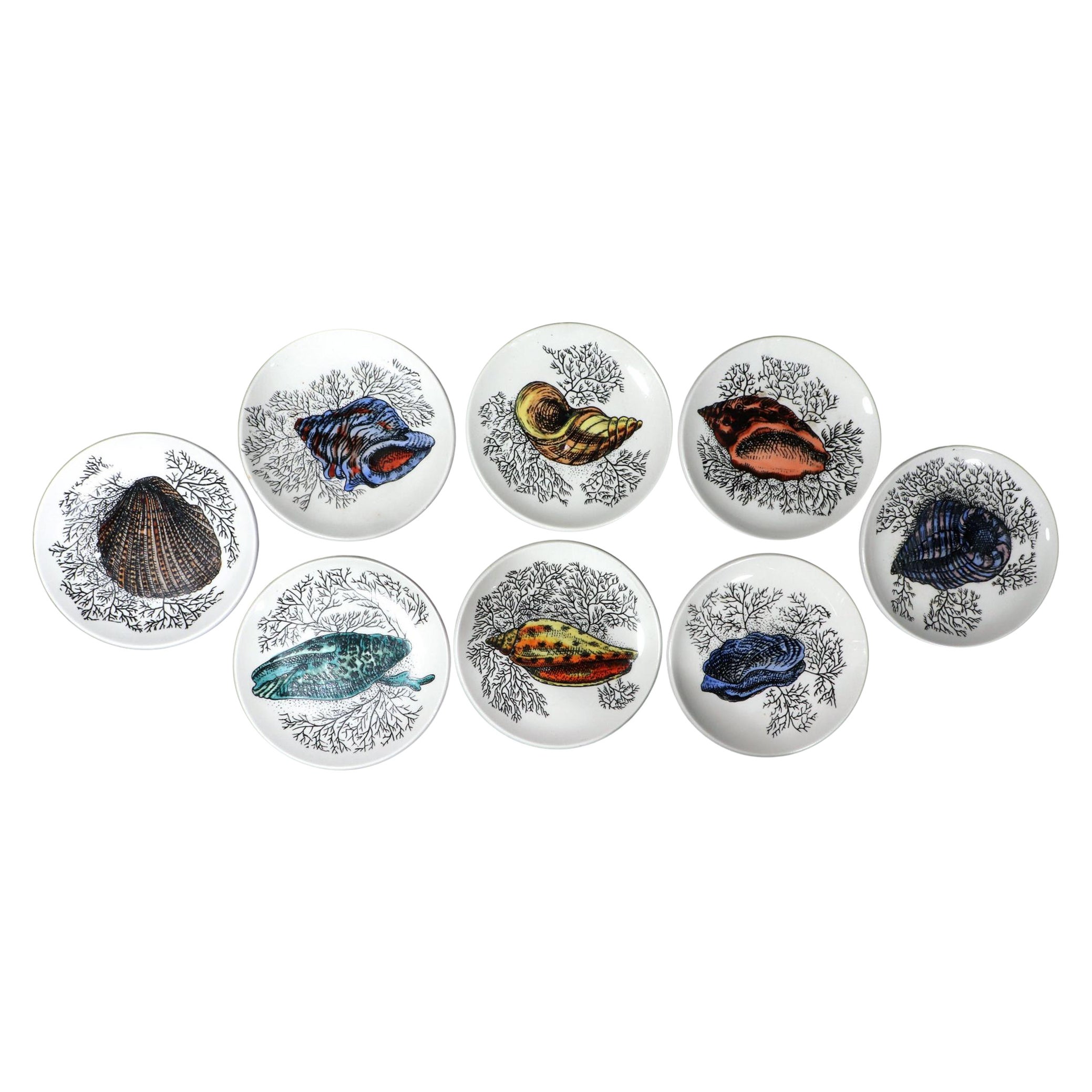 Posavasos de cerámica moderna de mediados de siglo decorados con conchas de mar de Bucciarelli en venta