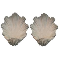 Pair of Modern Scallop Shell Wall Lights, Antiqued Plaster
