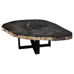 Petrified Wood Coffee and Cocktail Tables