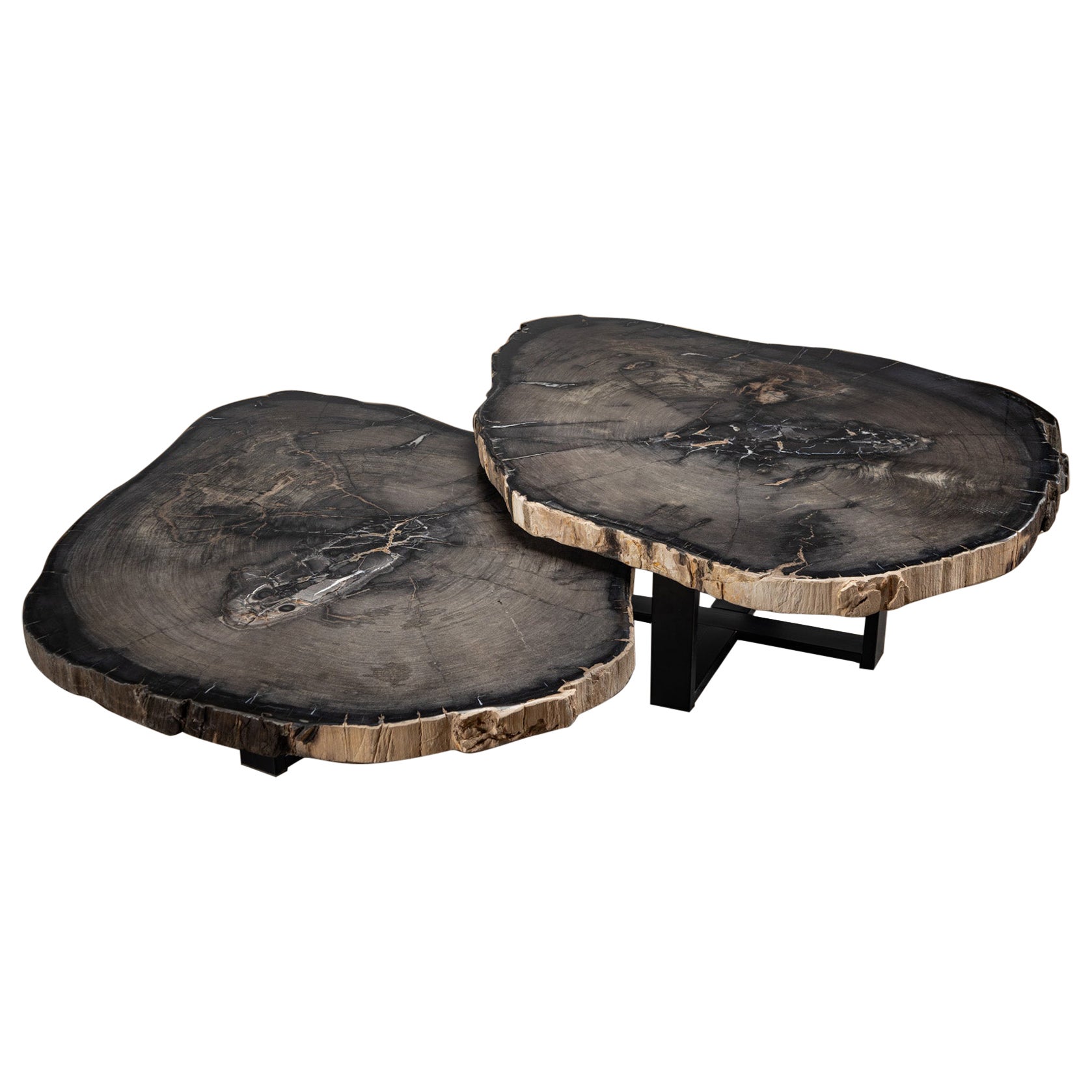 Paire de tables basses ou de centre en bois pétrifié avec base en métal noir en vente