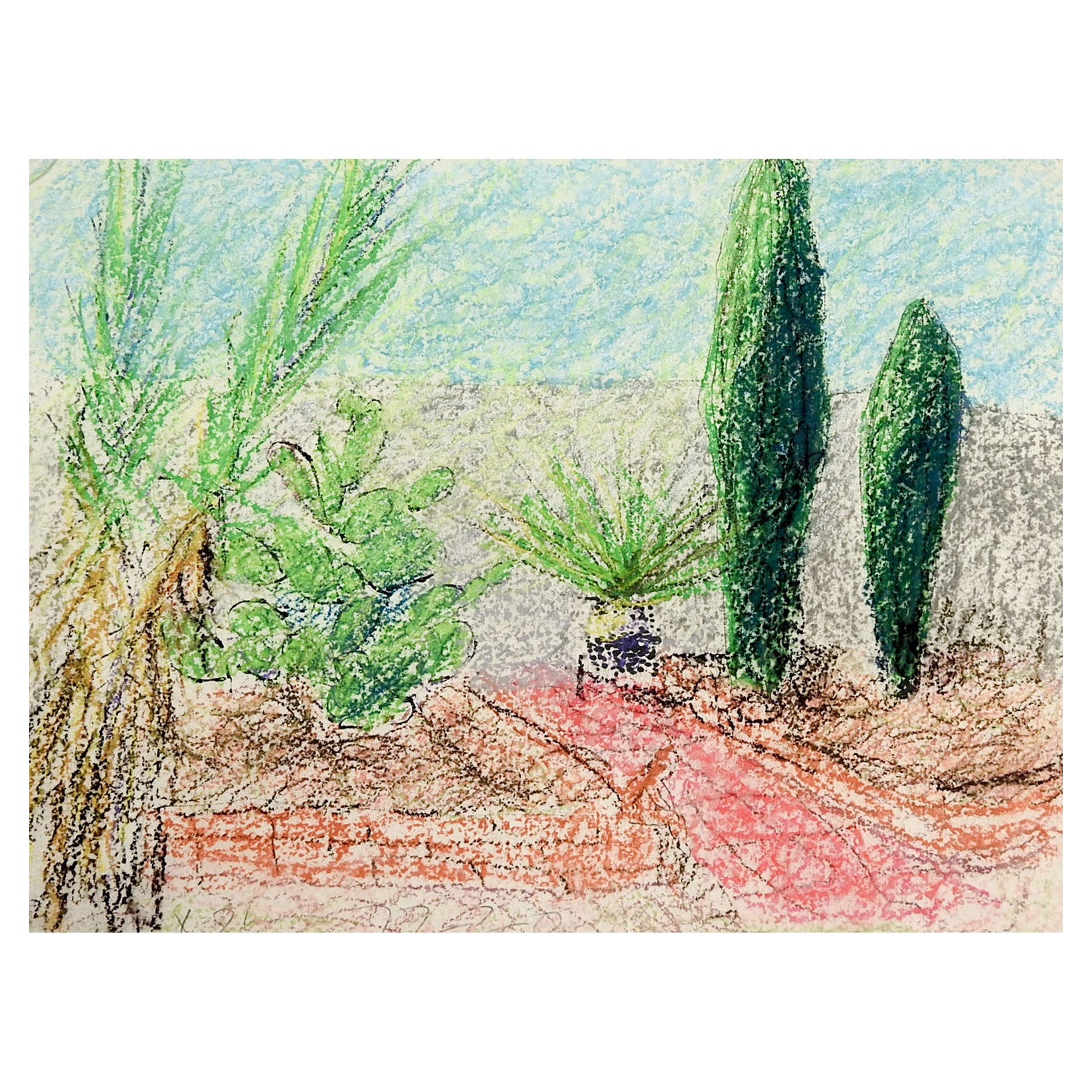 Contemporary Desert Green Garden Landscape Drawing For Sale