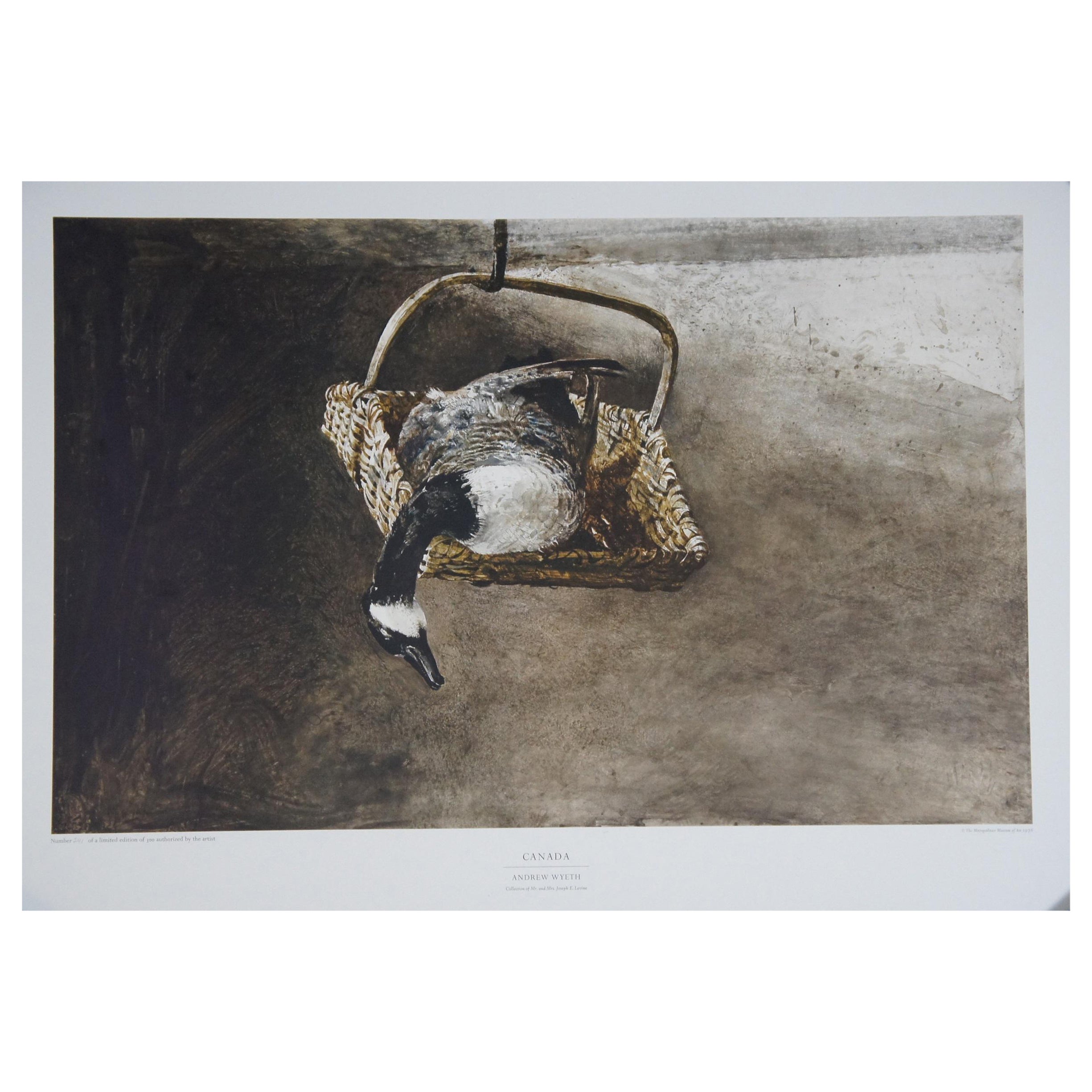 1976 Andrew Wyeth Canada Goose Collotype Metropolitan Museum of Art 34" For Sale