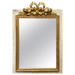 Vintage Louis XIV Style Gold Gilt Mirror Mounted On Boiserie