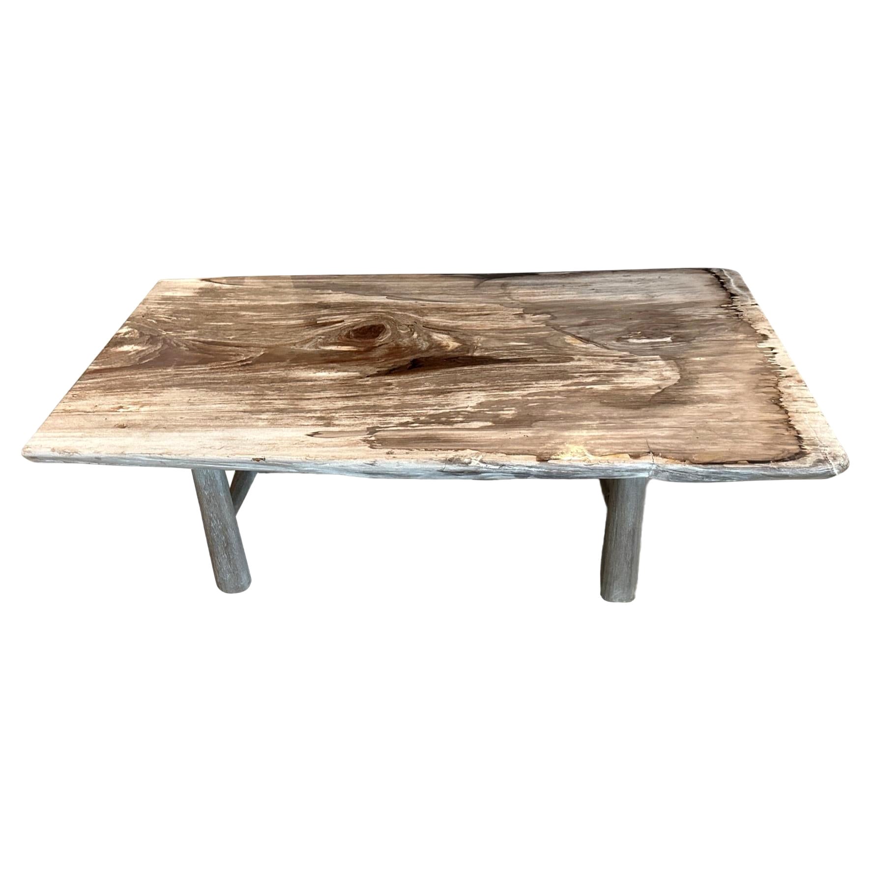 Andrianna Shamaris Single Slab Petrified Wood Coffee Table For Sale