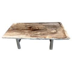 Andrianna Shamaris Table basse en bois pétrifié à une seule dalle