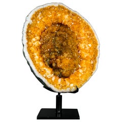 Géode de citrine avec couronne de citrine rare et fleurs de stalactite - A Gallery Citrine