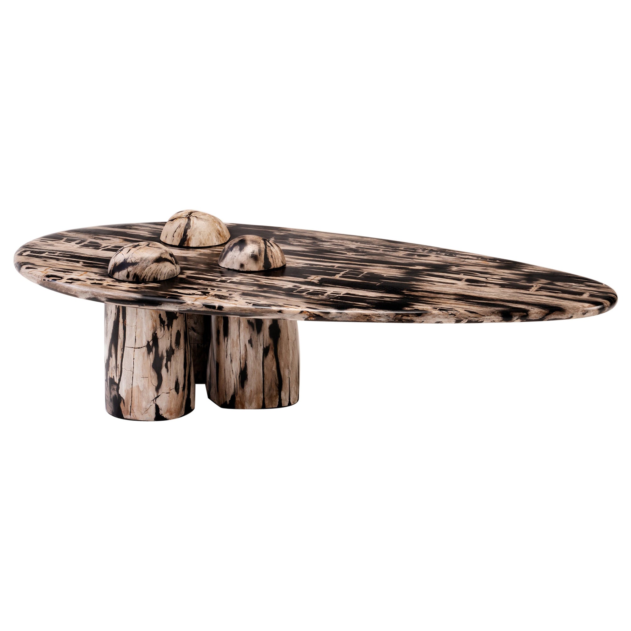 Rocky Montage Coffee Table by Odditi