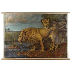 Art Nouveau 'Hartinger' Wall Chart, Lion by Wilhelm Wodnansky, Chromolithograph