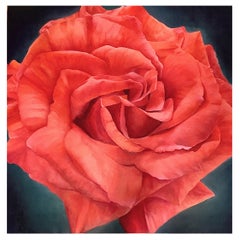 Gerahmtes Ölgemälde auf Leinwand „Corinna“ – Lachsfarbene Rose von Shelly Gurton