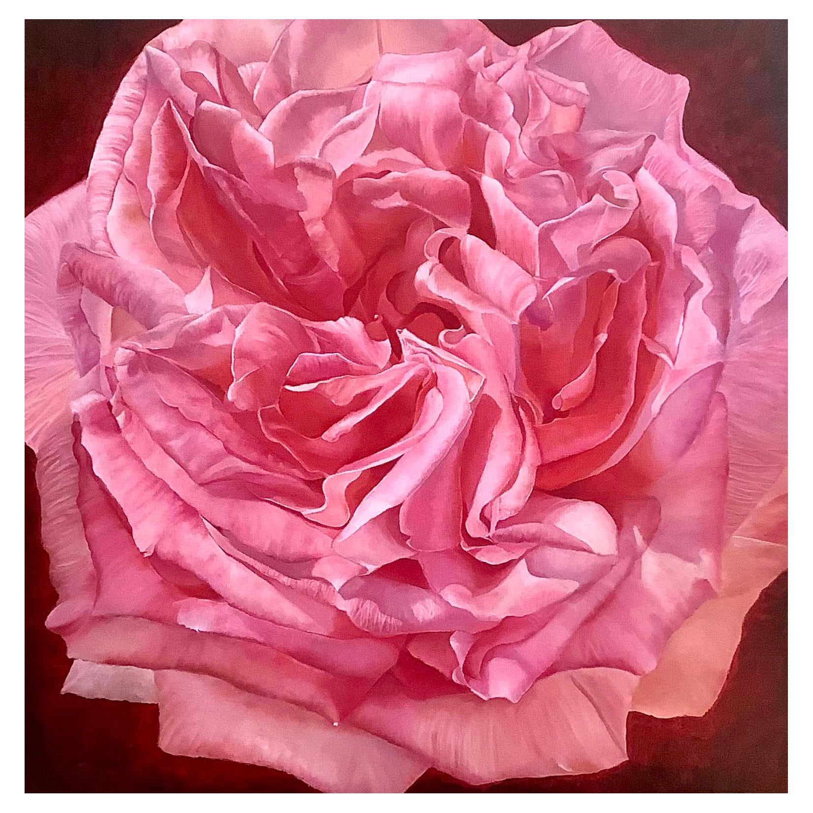 Framed Oil on Canvas "Vivienne" - Pink Color Rose by Shelly Gurton