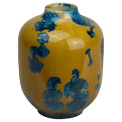 Vase Volume 1 de Milan Pekař