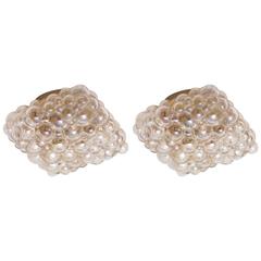 One of Two Helena Tynell Glass Flush Mount or Sconce for Glashütte Limburg 3