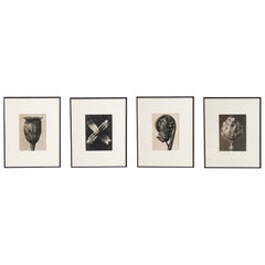 Ensemble de quatre photogravures encadrées de Karl Blossfeldt : Natural Elegance (1942)
