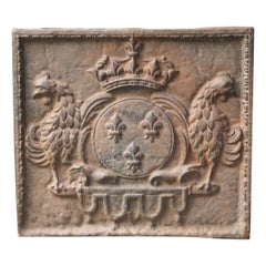 Plaque de cheminée française de style Louis XIV « Arms of France », 20e siècle