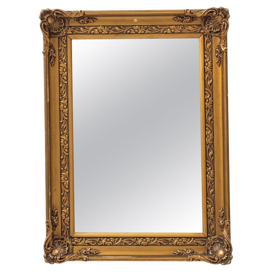 20th Century French Gilded Wood Mirror