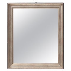 Early 20th Century French Wood Patinated Mirror