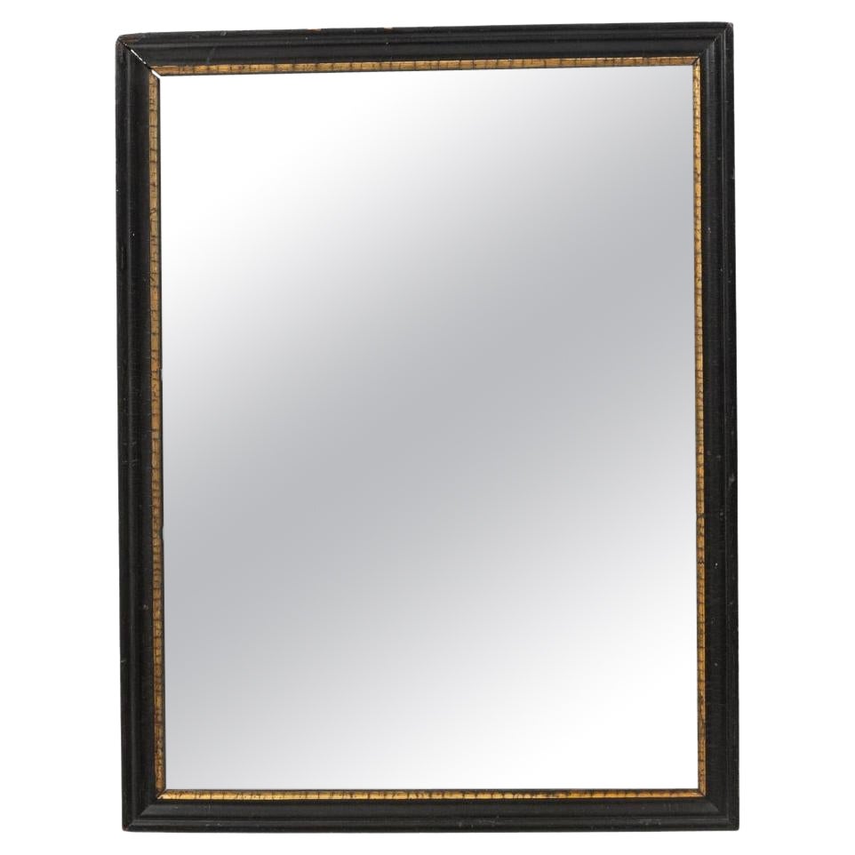 19th Century French Wood Black Patinated Mirror