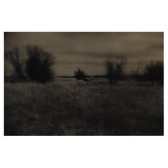Vintage 1990s Sepia Toned Moody Eric Weller Prairie Landscape Photograph