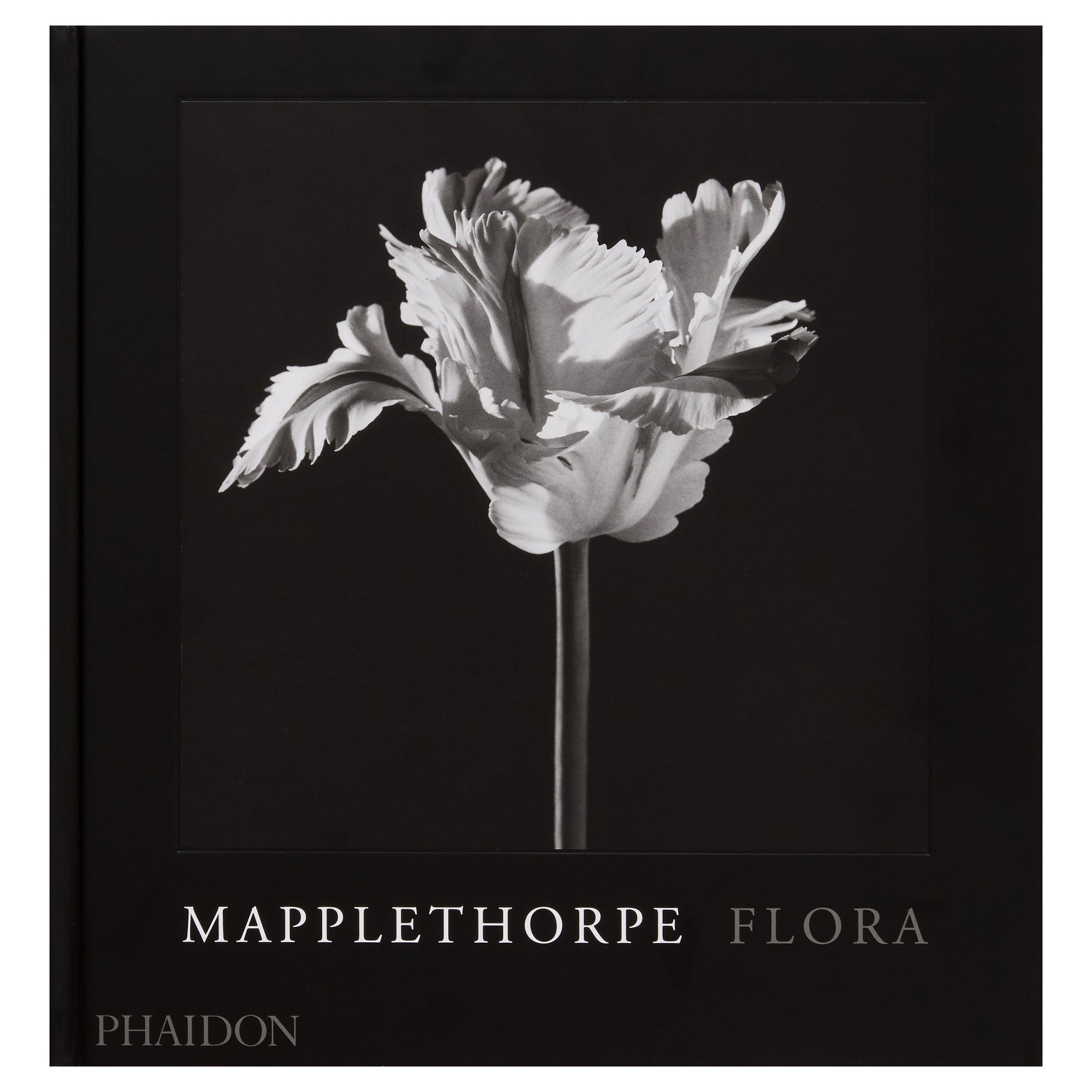 Mapplethorpe Flora For Sale