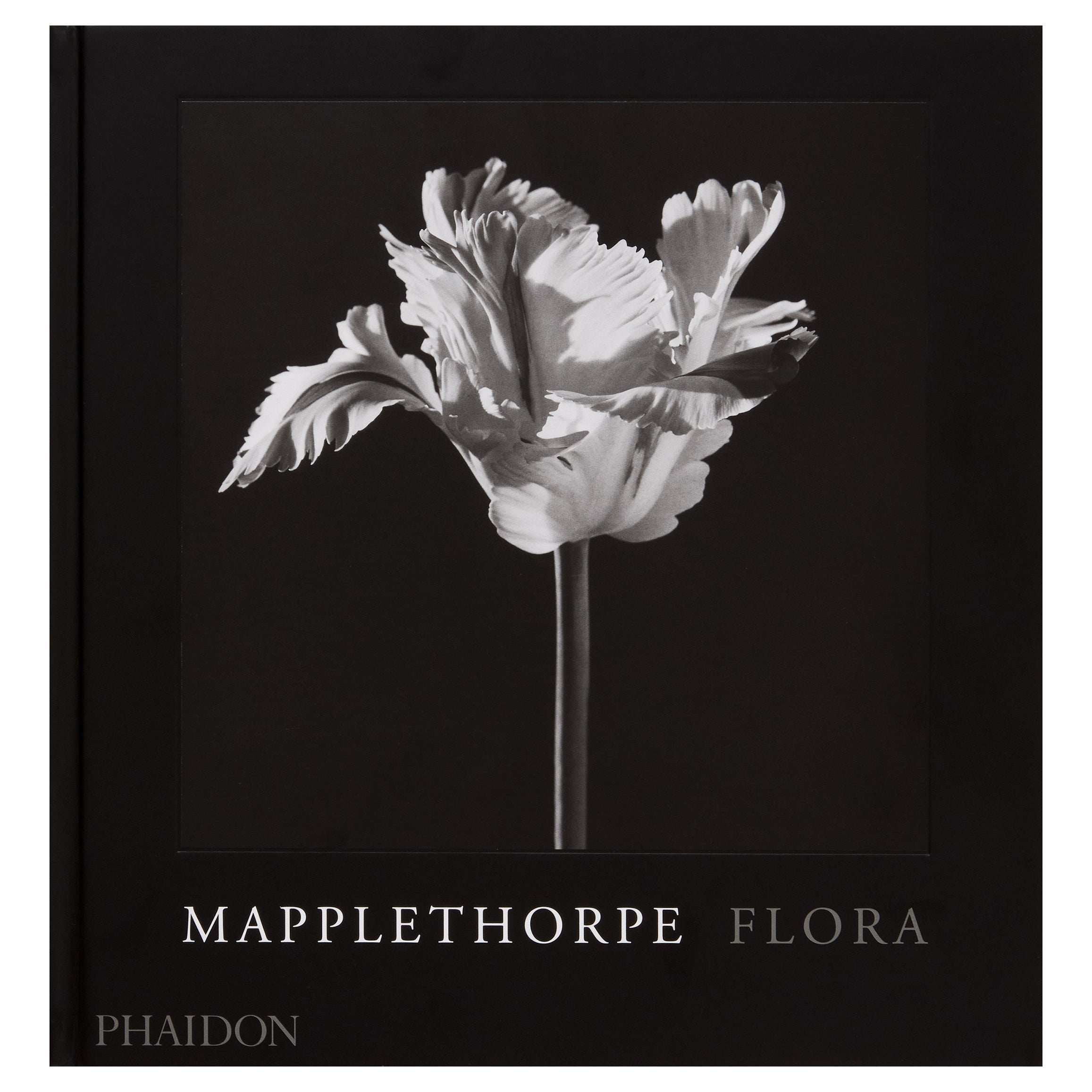 Mapplethorpe Flora