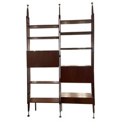 Retro Mid-Century Modern Wooden Wall unit, in the style of Franco Albini, Italy, 1960s