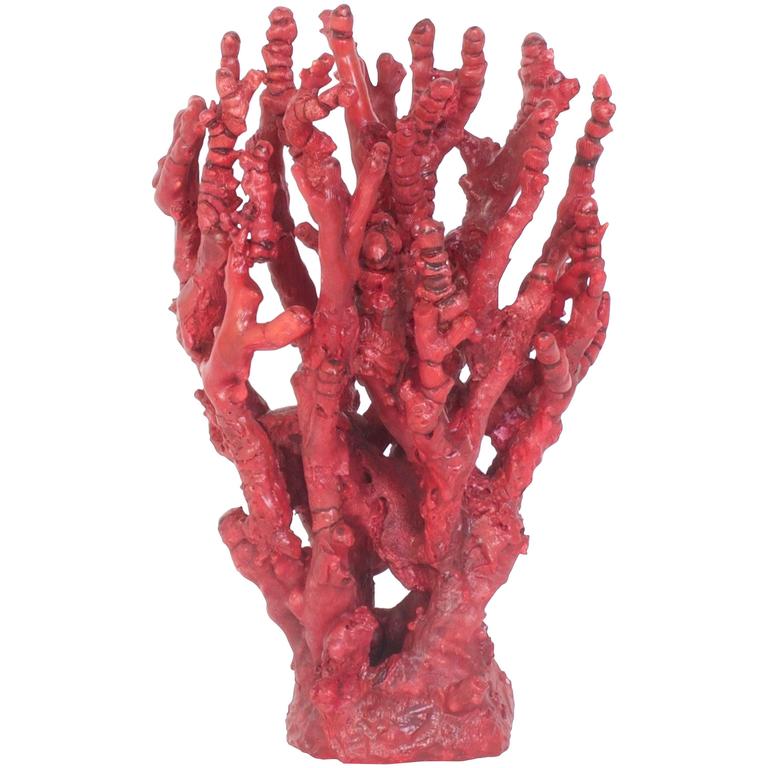 Chinese Red Bamboo Coral Sculpture on Lucite. For Sale at 1stdibs