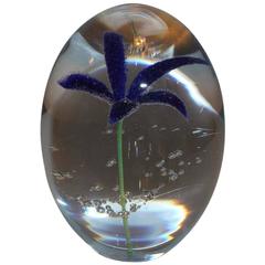 Paperweight Daum France "Egg" with Violet Flower