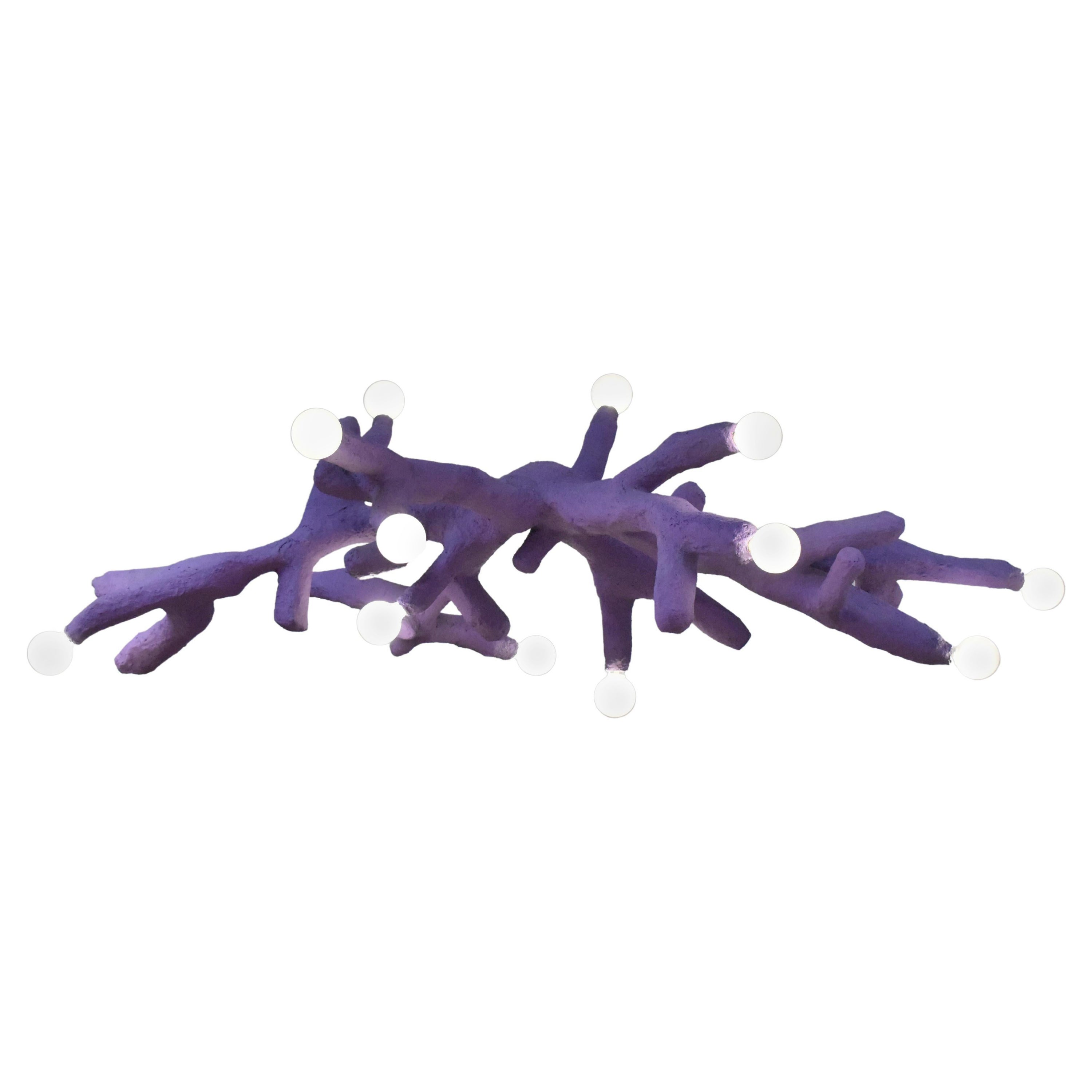 Araña Corallo Púrpura Jonathan Bocca en venta