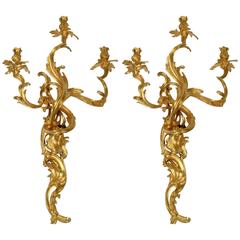 Gilt Bronze Louis XV Style Three-Light Wall Sconces, Pair
