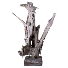 Große natürliche abstrakte Treibholz-Skulptur 