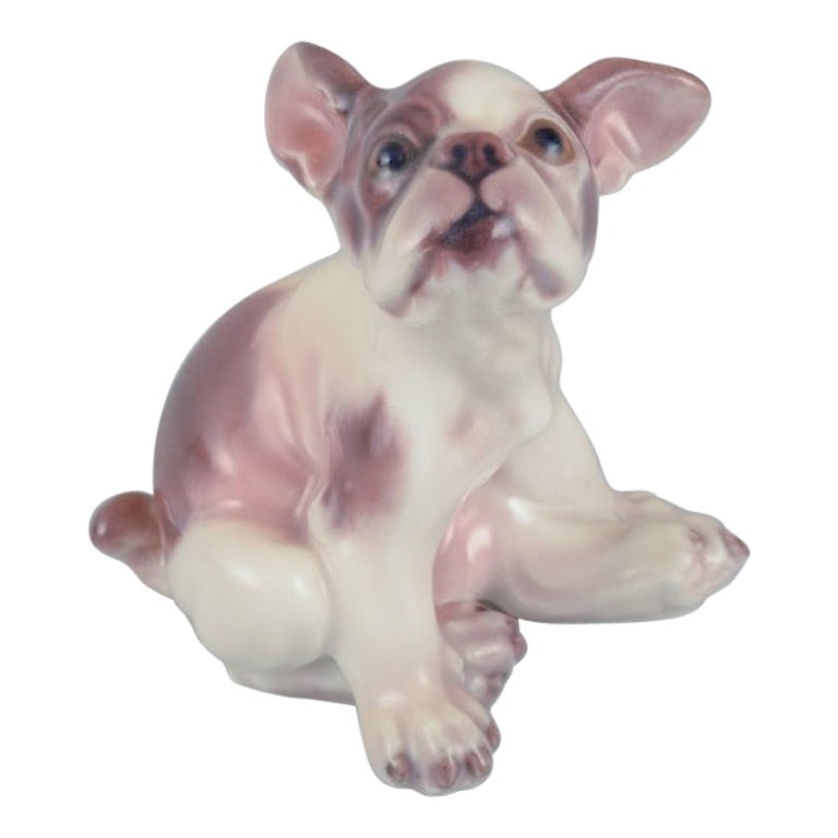 Porzellanfigur einer französischen Bulldogge von Dahl Jensen. im Angebot