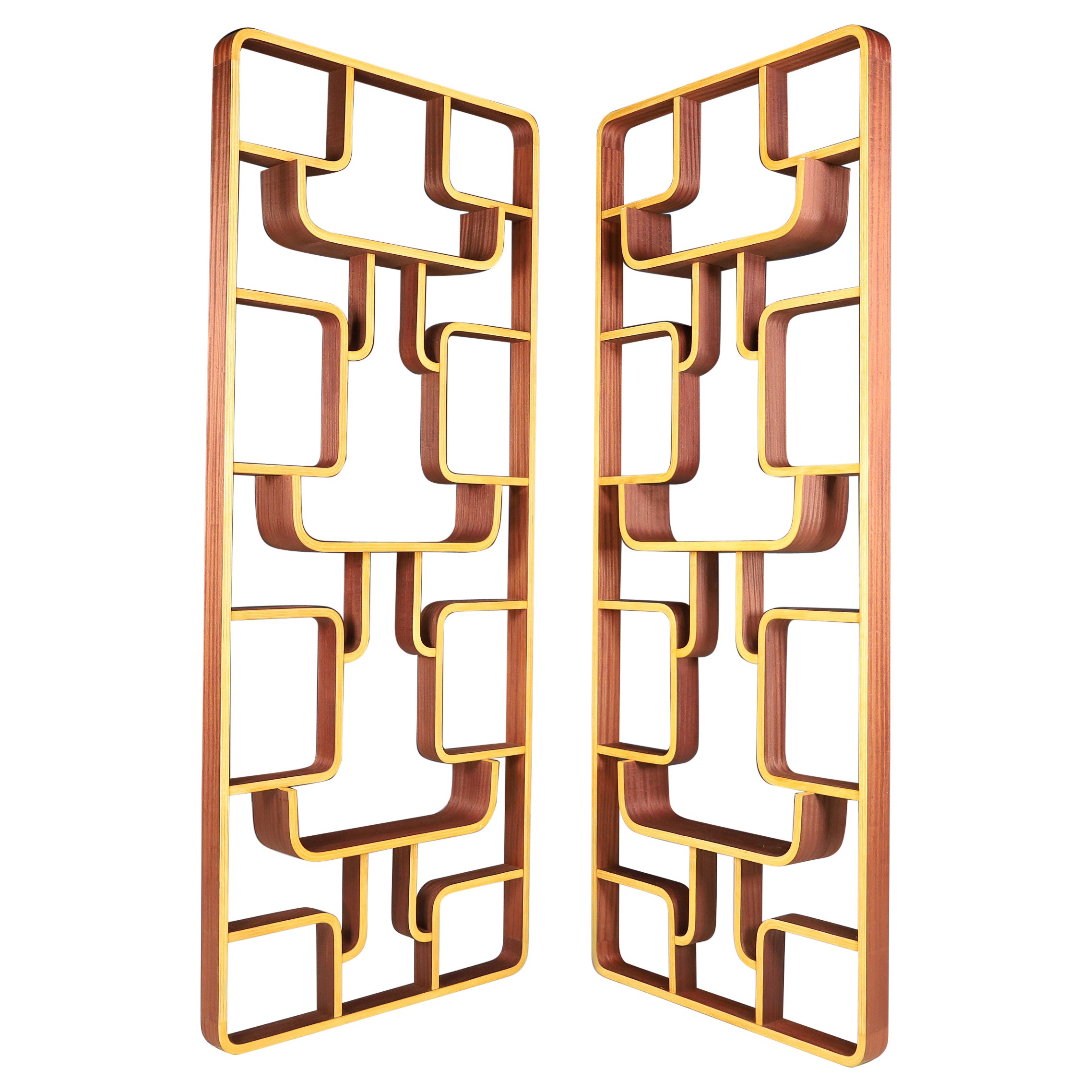 Mid-20th Century Room Dividers in Bent-Wood by Ludvik Volak, Praque, 1960s For Sale