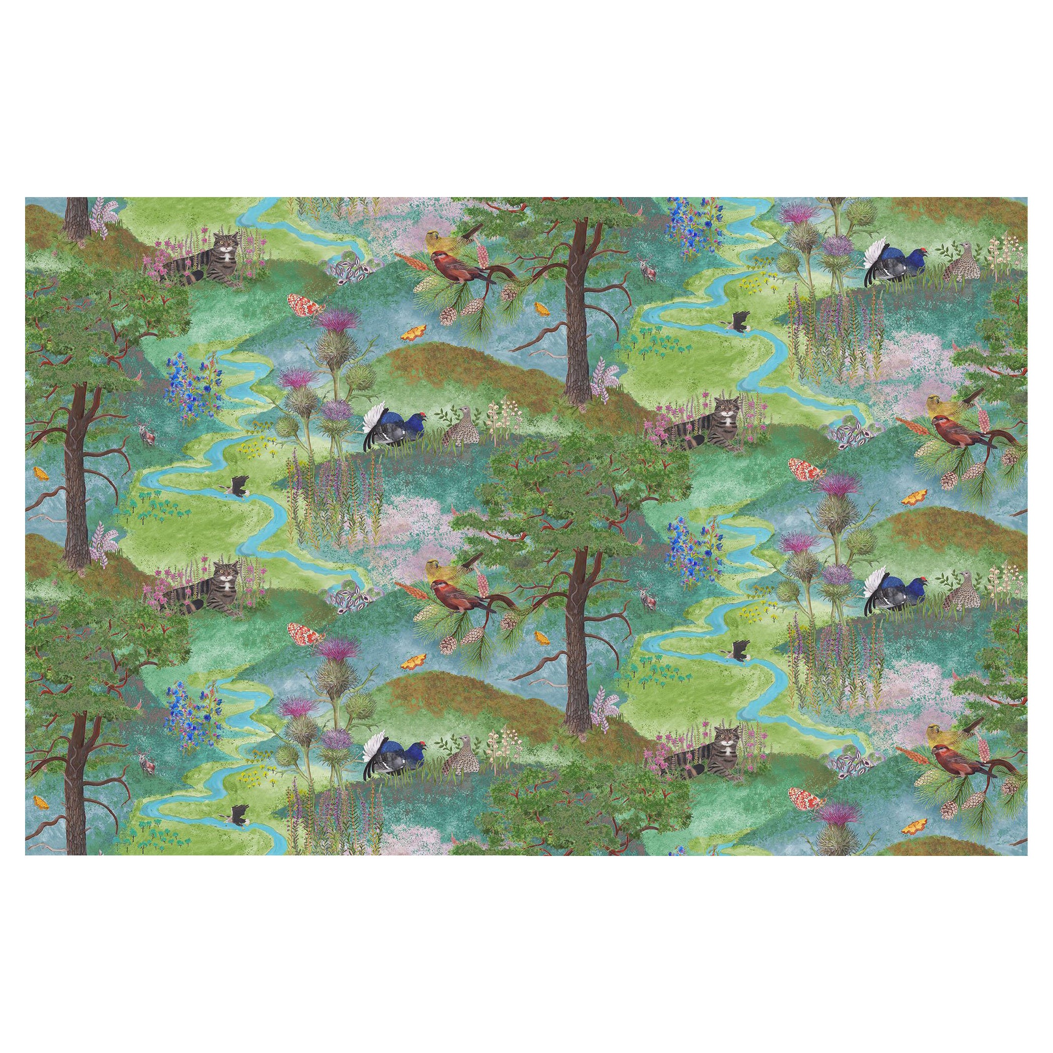 Alladale Highlands wallpaper in Equinox - Botanical/ Scottish Wilderness