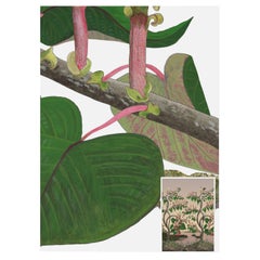 Ochroma Wild Things Dawn Pink Wandteppich
