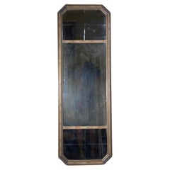 Narrow  Elegant Neoclassical Style Italian Hand Painted Mirror with Aged Glass